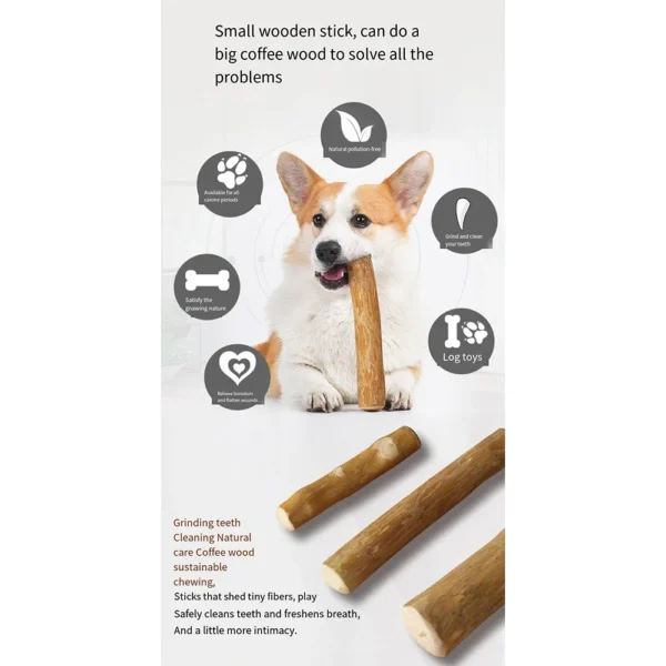 Juguete masticable de madera para perros, para aliviar la presión dental. - Imagen 2