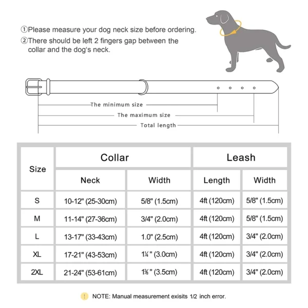 Juego de correa de Collar de perro personalizado - Imagen 6