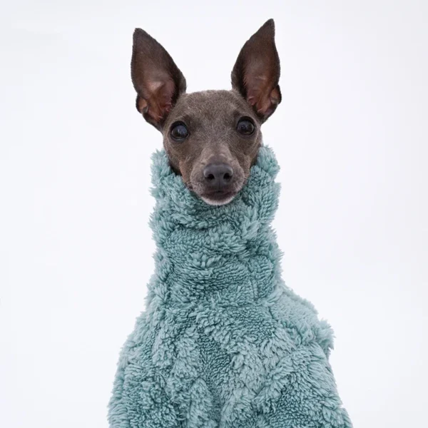 Suéter Sweet Granny con cuello alto - Blue&Rosé - Imagen 2