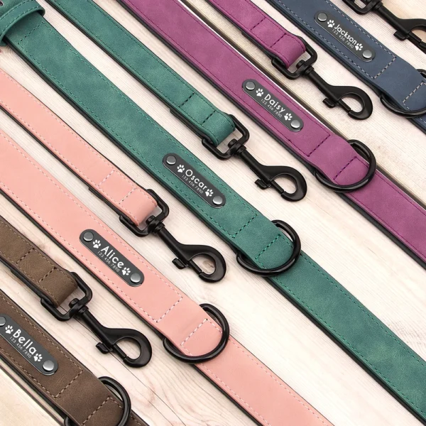 Juego de correa de Collar de perro personalizado - Imagen 4