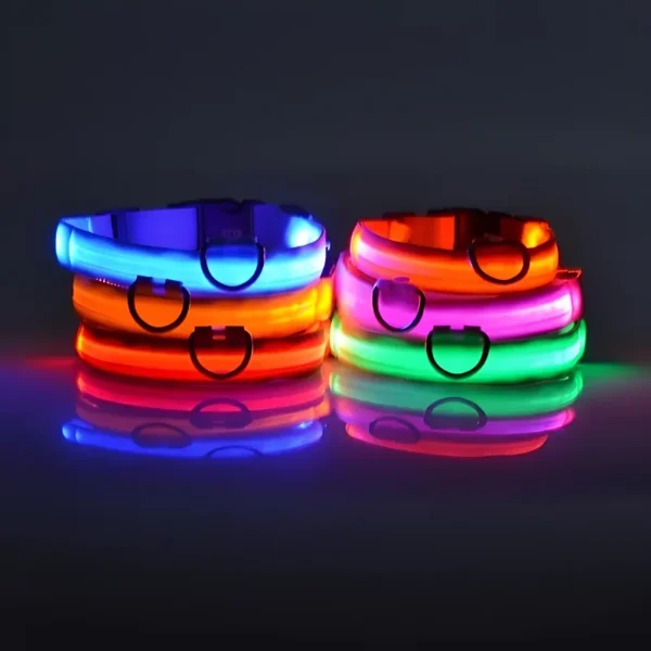 Collar para perro de nailon LED - Imagen 3