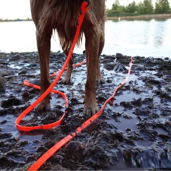 Correa impermeable para perros 3m, 5m, 10m, 15m - Imagen 3