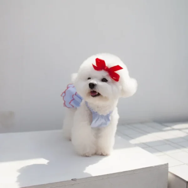 Vestido de verano - Imagen 4