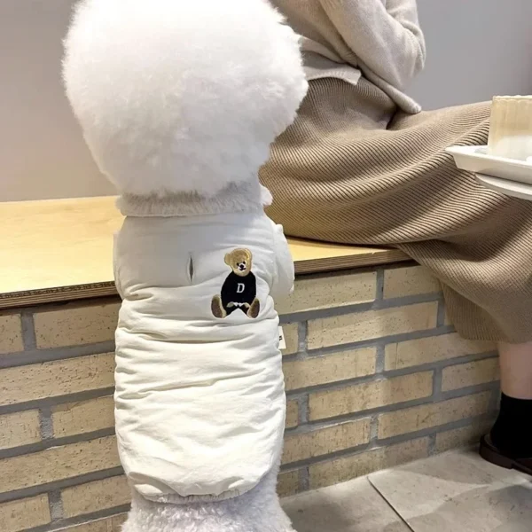Campera tipo motoquero con osito cute - Imagen 5