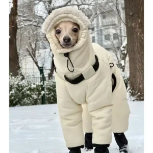 Chaqueta de invierno súper gruesa