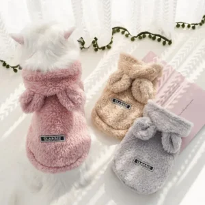 BunnyBunny