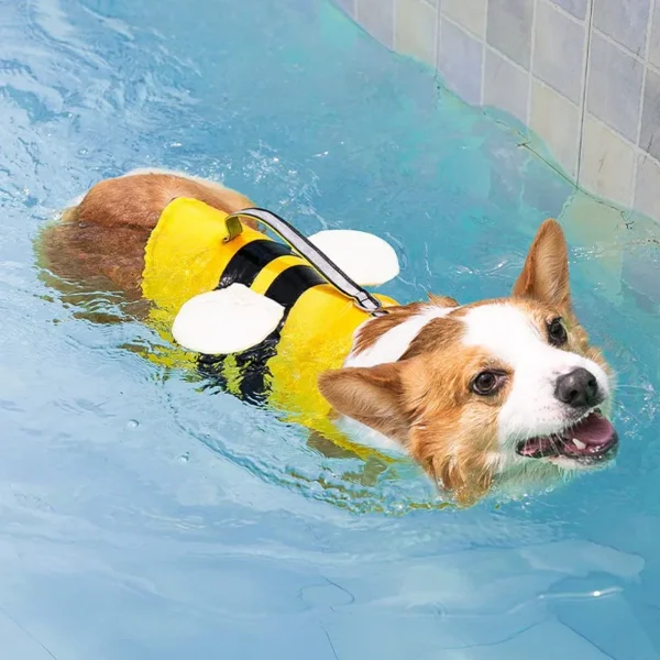Chaleco Salvavidas para Perros Divertidos - Imagen 5