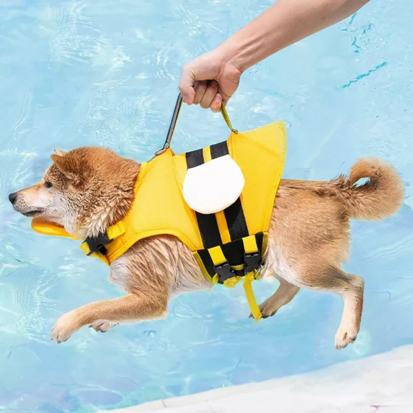 Chaleco Salvavidas para Perros Divertidos - Imagen 4