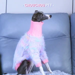Hola, llegué