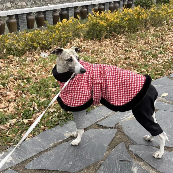 La reina te invitó a tomar el té y no tenías outfit hasta ahora... - Imagen 4
