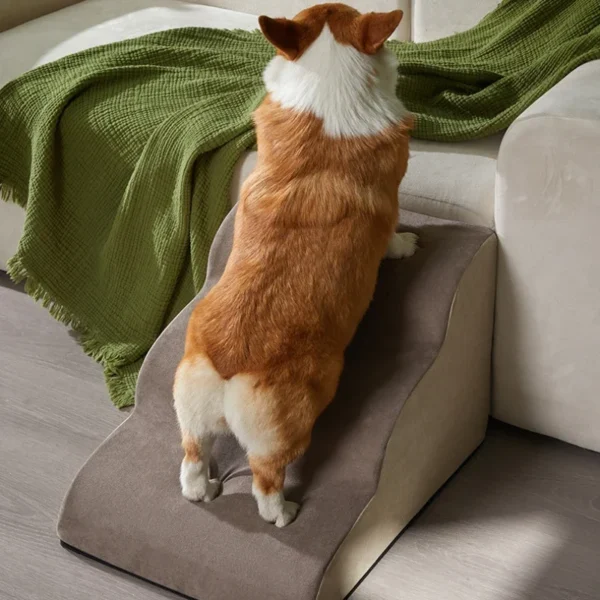 Rampa Estética para Mascotas - Imagen 6