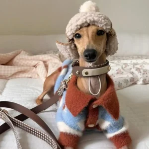 Suéter para Perros Paquetes con opcional sombrero