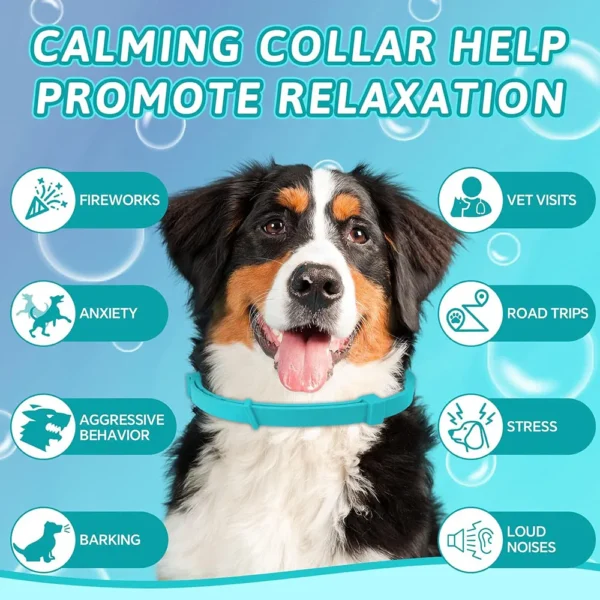 Collar calmante para perros - Imagen 5