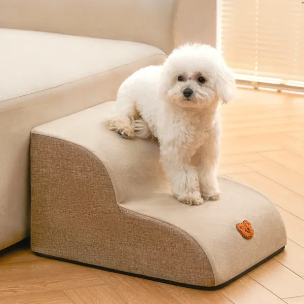Rampa Estética para Mascotas