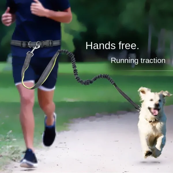 Correa de perro Manos libres para mascotas - Imagen 5