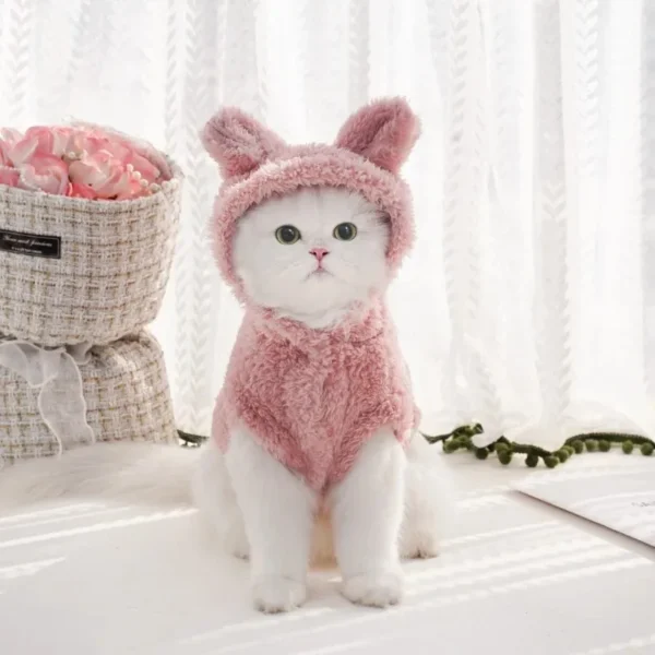BunnyBunny - Imagen 6