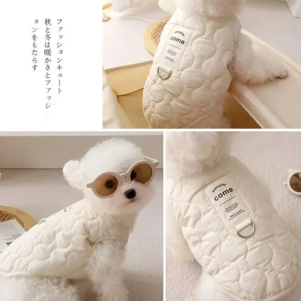 Chaleco de Invierno - Imagen 2