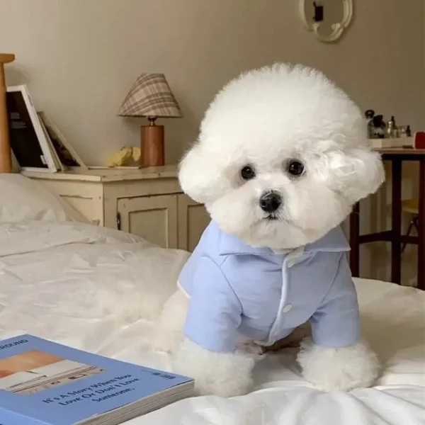 Chalequito Inflado Cool Pup - Imagen 4