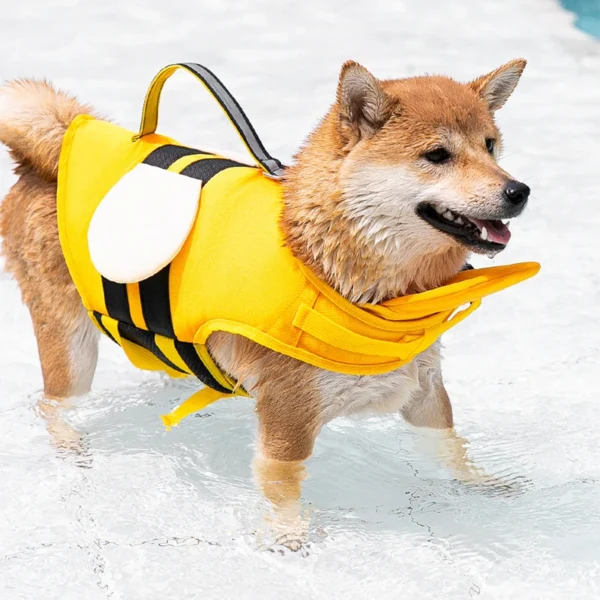Chaleco Salvavidas para Perros Divertidos - Imagen 2