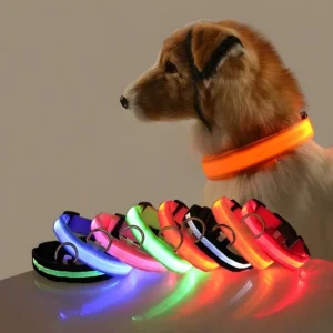 Collar para perro de nailon LED