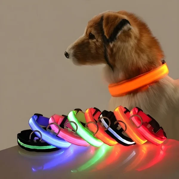 Collar para perro de nailon LED