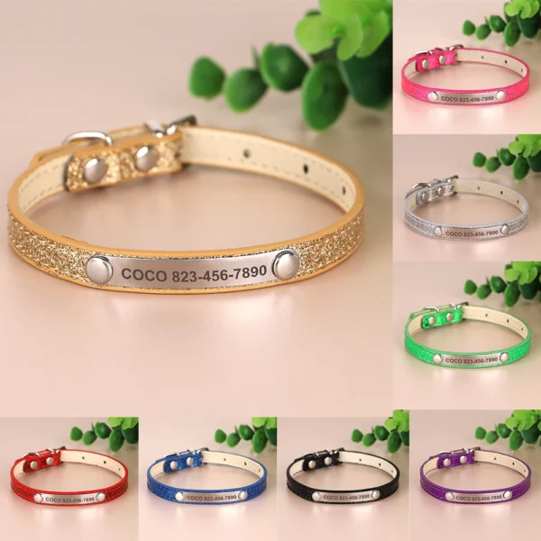 Collar de identificación