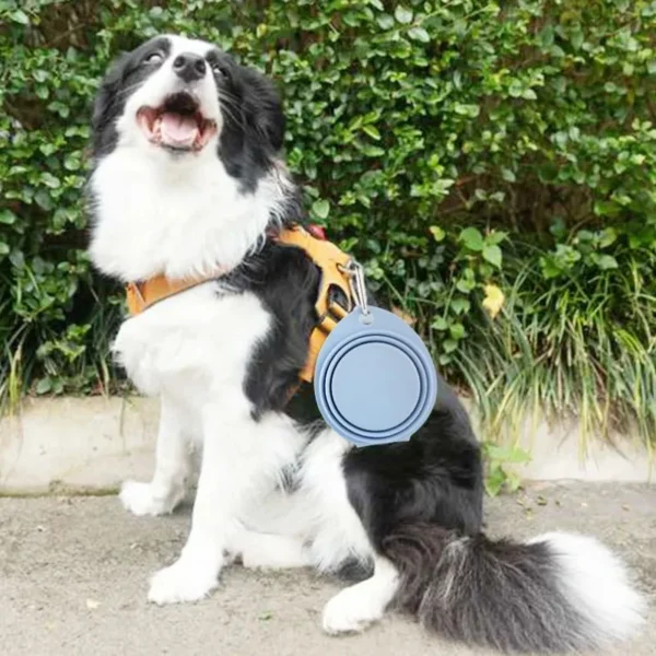 Cuenco plegable de silicona liso para Mascotas 350/600ml - Imagen 5