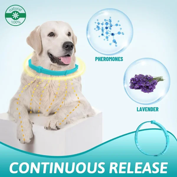 Collar calmante para perros - Imagen 3
