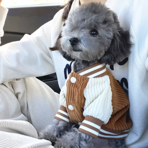Chaqueta de Béisbol Bordada para Perros - Imagen 2