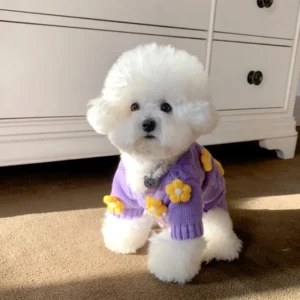 Suéter Morado de Flor amarilla para Perros Pequeños y Medianos