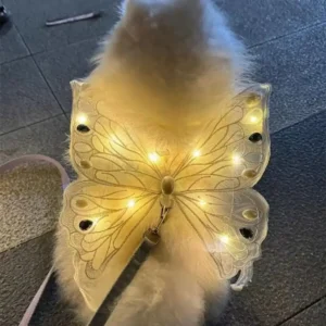 Ala brillante y mariposa
