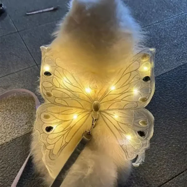 Ala brillante y mariposa