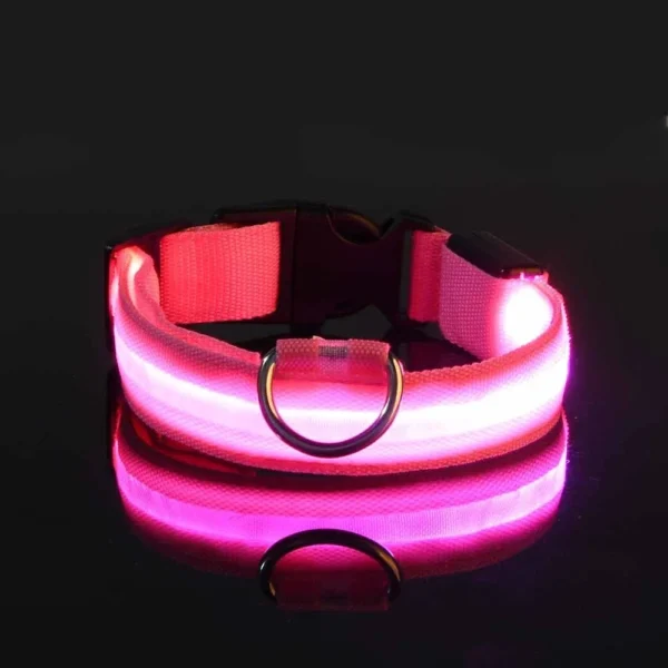 Collar para perro de nailon LED - Imagen 5