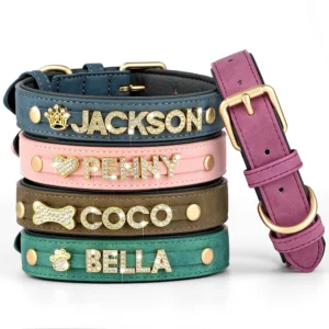 Collar de cuero personalizado
