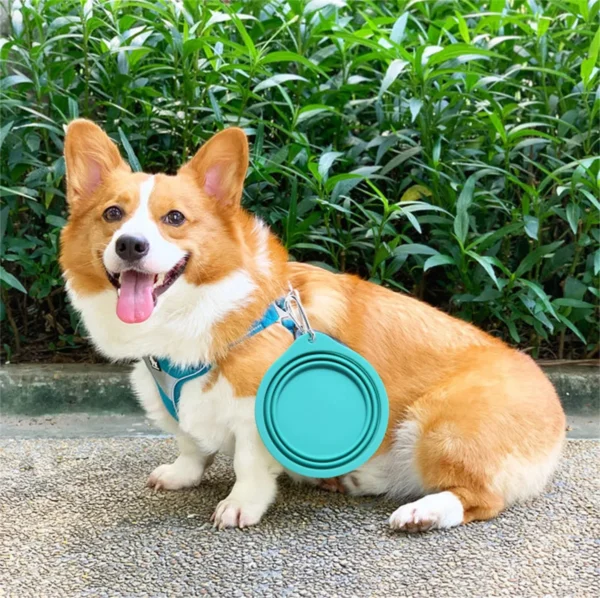 Cuenco plegable de silicona liso para Mascotas 350/600ml - Imagen 6