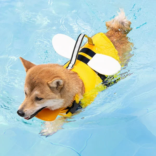 Chaleco Salvavidas para Perros Divertidos - Imagen 3