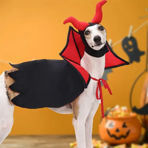 Diabolic@ - Imagen 5