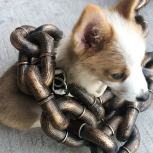 Correa para perro enorme y divertida