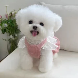 Cutie Pie