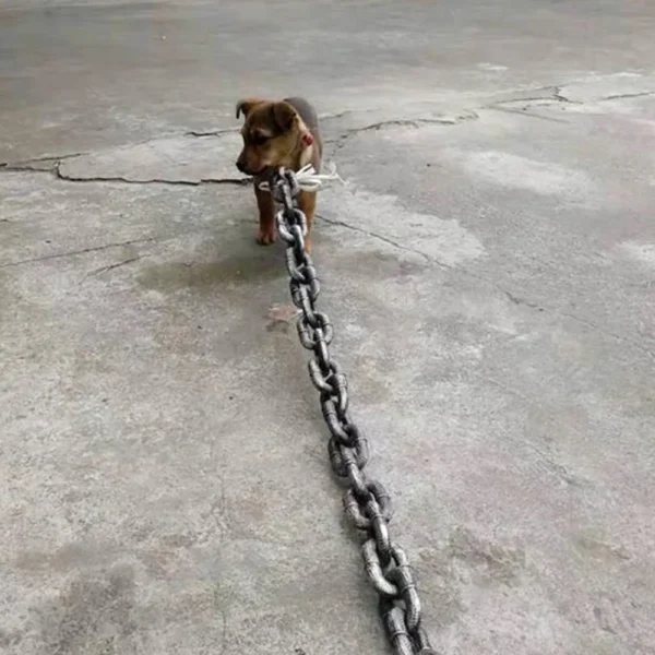Correa para perro enorme y divertida - Imagen 3