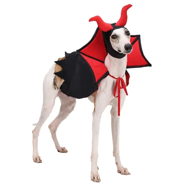 Diabolic@