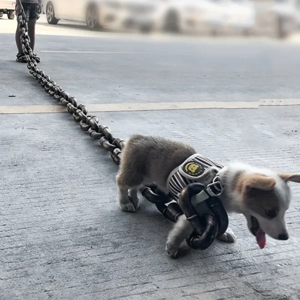 Correa para perro enorme y divertida - Imagen 2