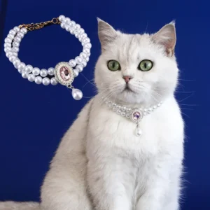 Collar Titanic