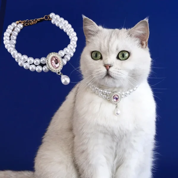 Collar Titanic