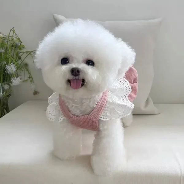 Cutie Pie - Imagen 3